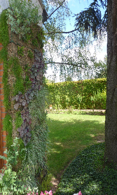 Liaison végétale verticale entre la maison et le jardin. - Travaux réalisés